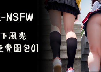 爬樓梯(裙下風光) Climb stairs(panty shot)